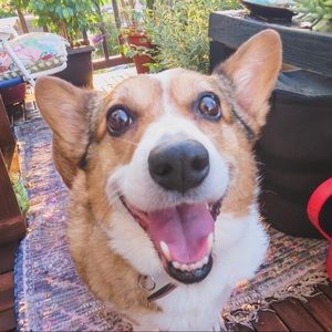 Meet your Posher, Kaitlyn